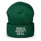 Birds Aren’t Real Embroidered Knit Cuffed Beanie - Spruce