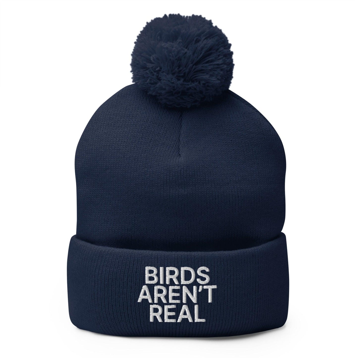Birds Aren’t Real Embroidered Knit Pom Beanie - Navy