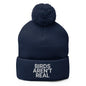 Birds Aren’t Real Embroidered Knit Pom Beanie - Navy