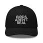 Birds Aren’t Real Embroidered Mesh Trucker Hat - Black