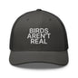 Birds Aren’t Real Embroidered Mesh Trucker Hat - Charcoal