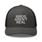 Birds Aren’t Real Embroidered Mesh Trucker Hat - Charcoal/ Black