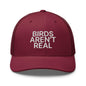 Birds Aren’t Real Embroidered Mesh Trucker Hat - Cranberry