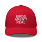 Birds Aren’t Real Embroidered Mesh Trucker Hat - Red