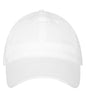 ATC - ATC™ EVERYDAY COTTON TWILL DAD HAT. - C1305