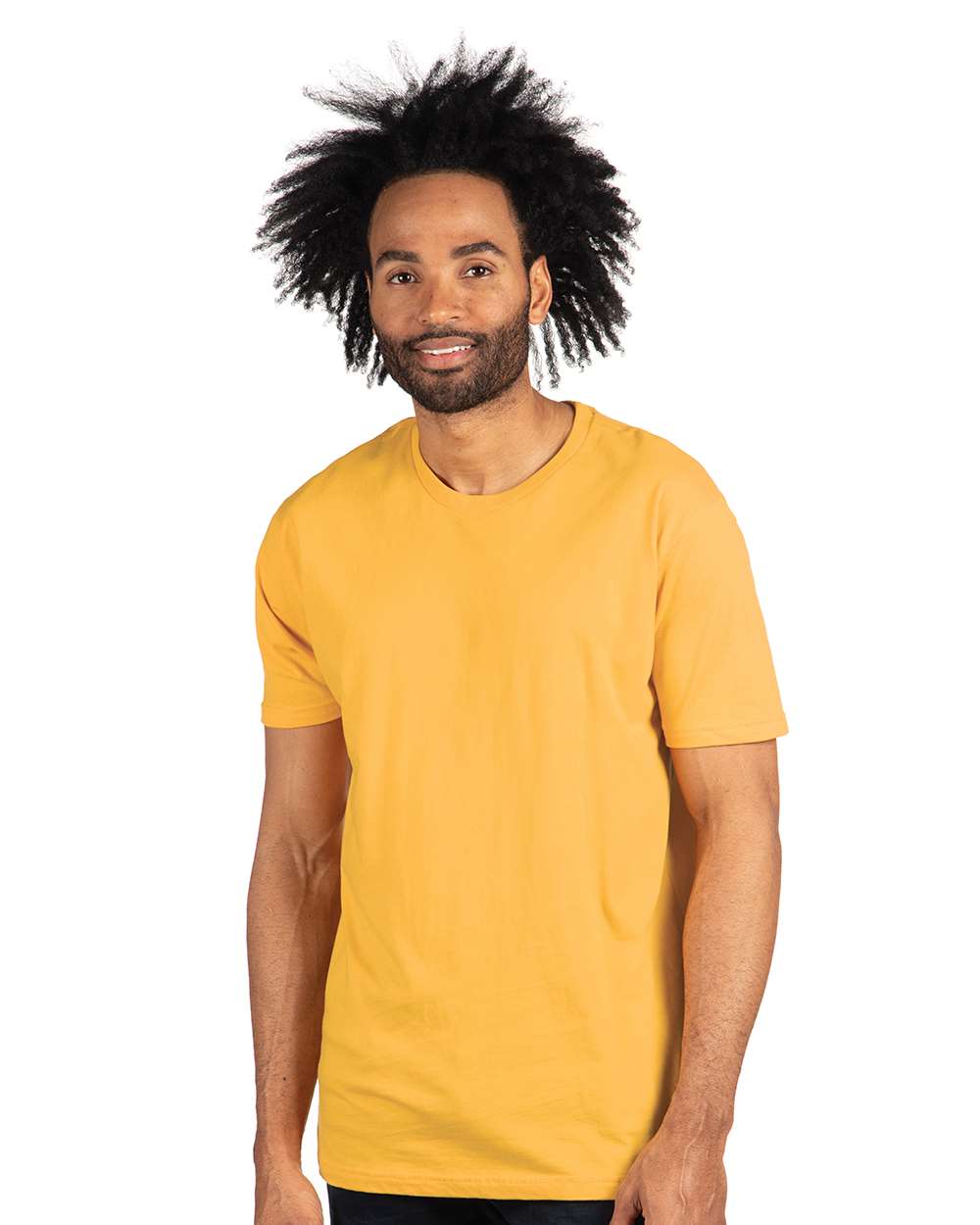 Next Level Cotton T-Shirt 3600