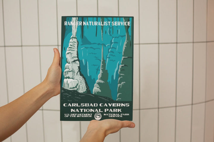 Carlsbad Caverns National Park Poster - poster