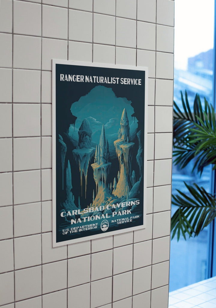 Carlsbad Caverns National Park Poster - poster