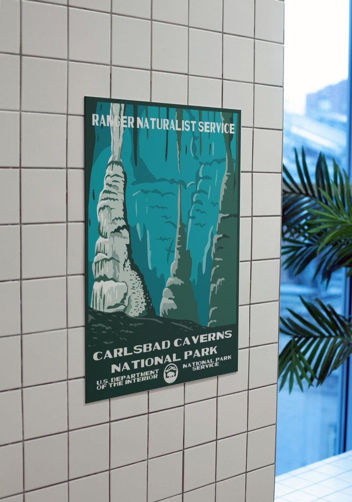 Carlsbad Caverns National Park Poster - poster