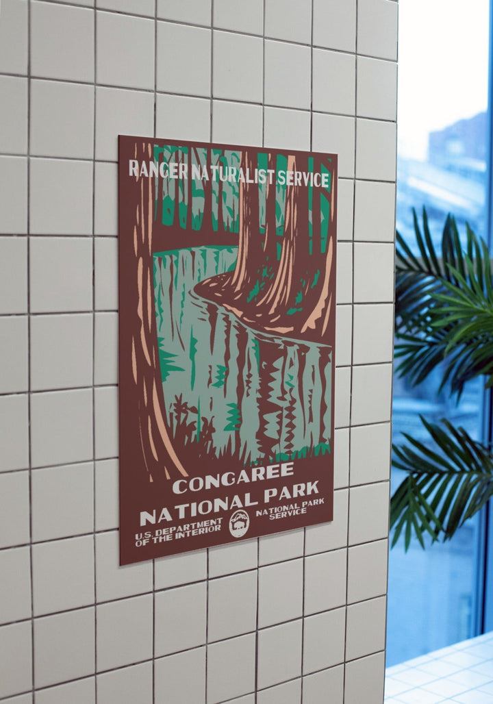 Congaree National Park Poster - poster