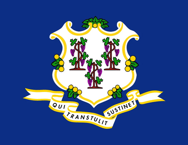 🌟 Flag of Connecticut – Available in Multiple Sizes 🌟