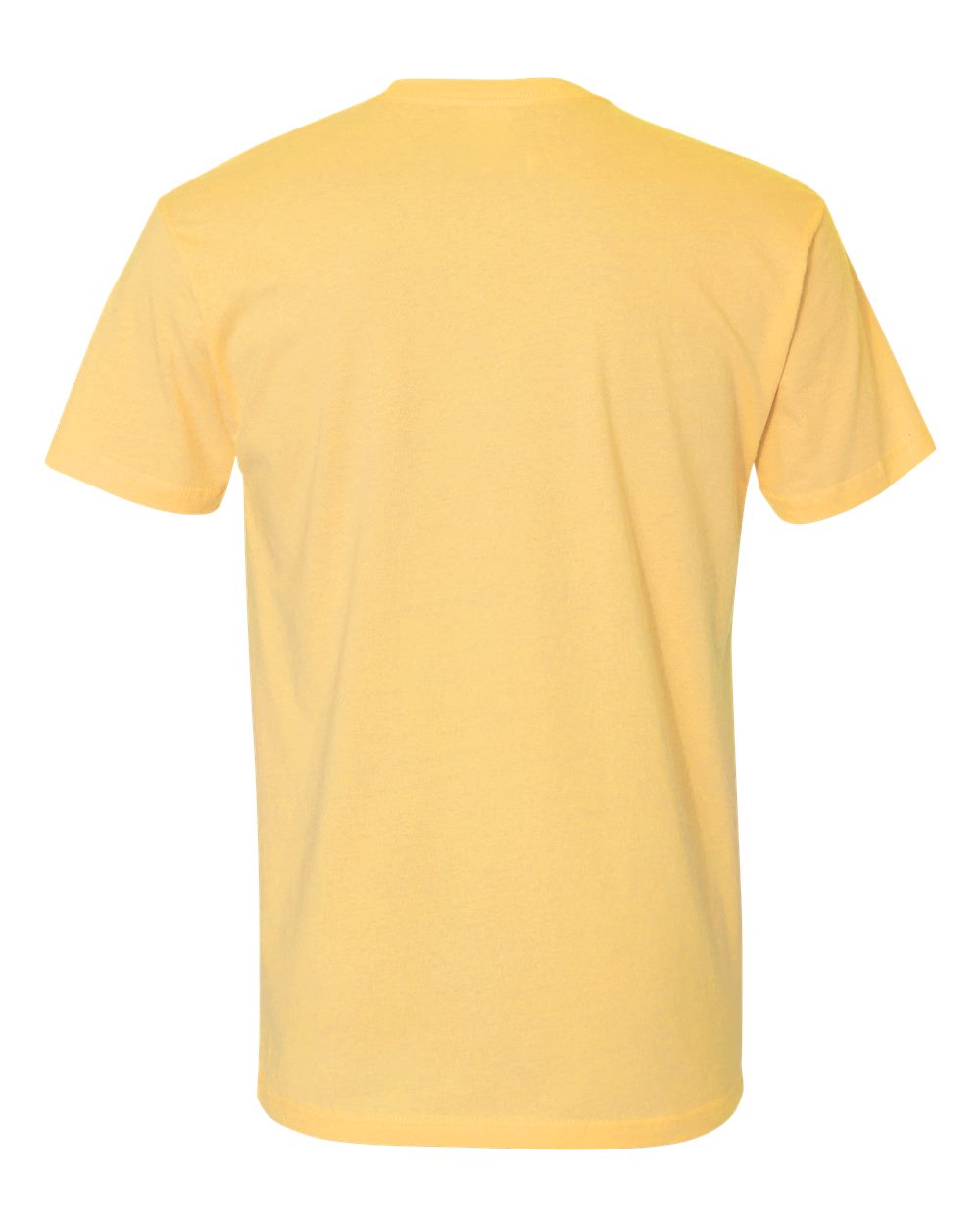 Next Level Cotton T-Shirt 3600