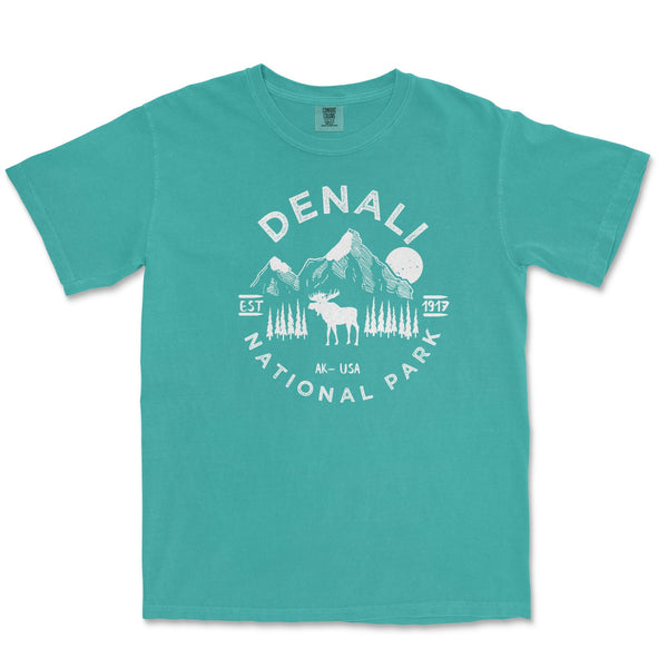 Denali National Park Comfort Colors T Shirt - S / Seafoam - tshirt