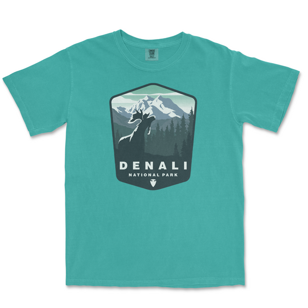 Denali National Park Comfort Colors T Shirt - S / Seafoam - tshirt