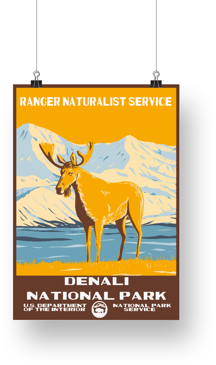 Denali National Park Poster - poster