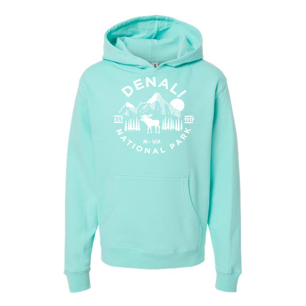 Denali National Park Youth Hoodie Sweatshirt - S / Mint - hoodie