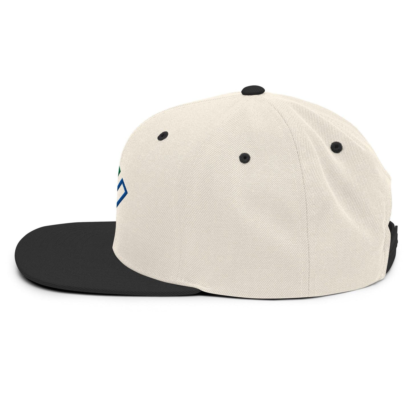 Enron Embroidered Flat Bill Brim Snapback Hat