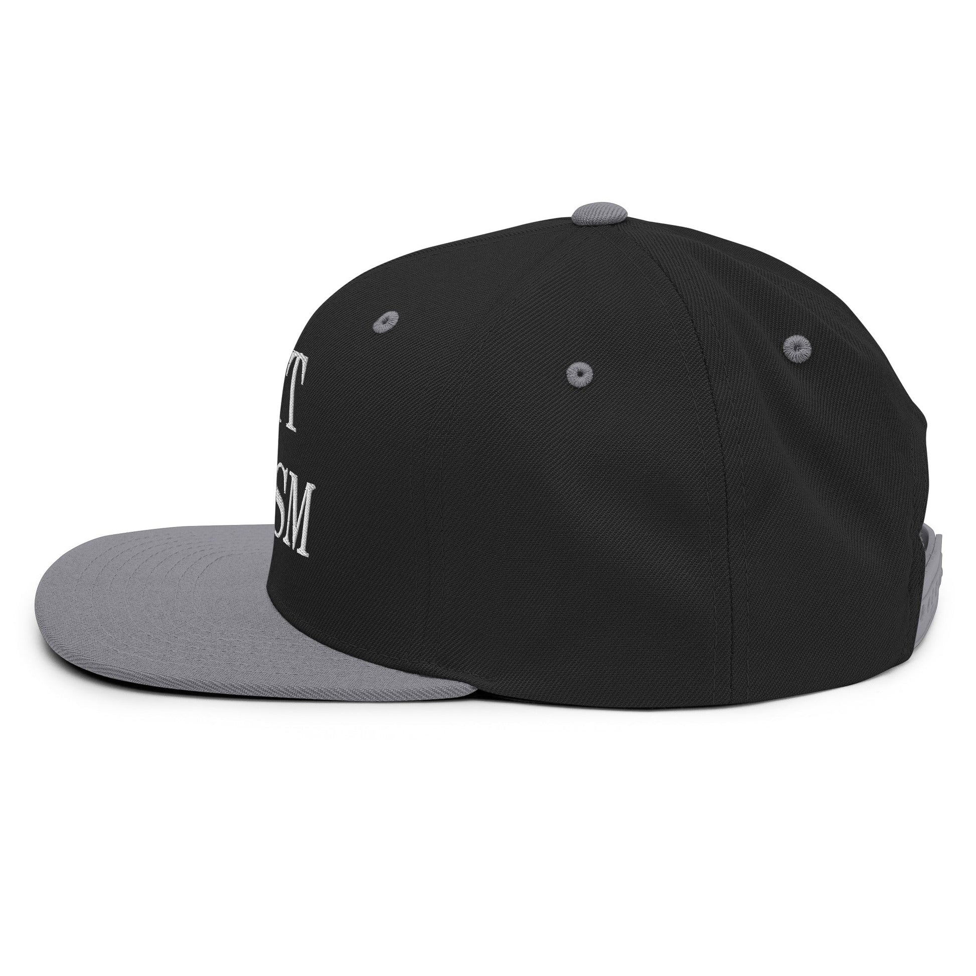 Fight Fascism Embroidered Flat Brim Bill Snapback Hat