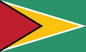 Flag of Guyana – A Proud Symbol Strength & Heritage - 9”x18”