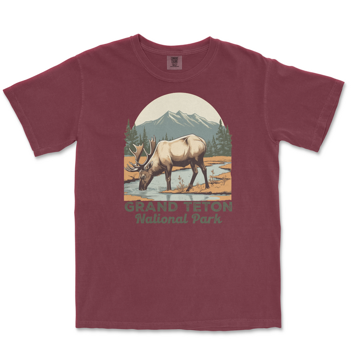 Grand Teton National Park Comfort Colors T Shirt - S / Brick - tshirt