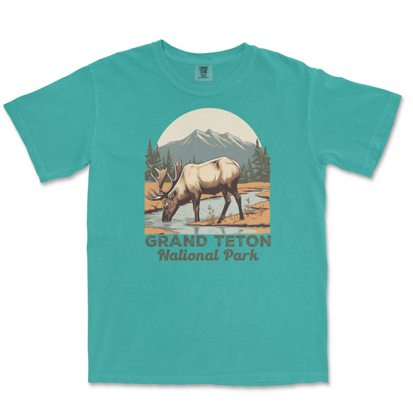 Grand Teton National Park Comfort Colors T Shirt - S / Seafoam - tshirt