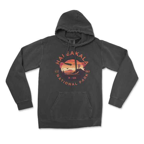 Haleakala National Park Comfort Colors Hoodie - S / Pepper - hoodie