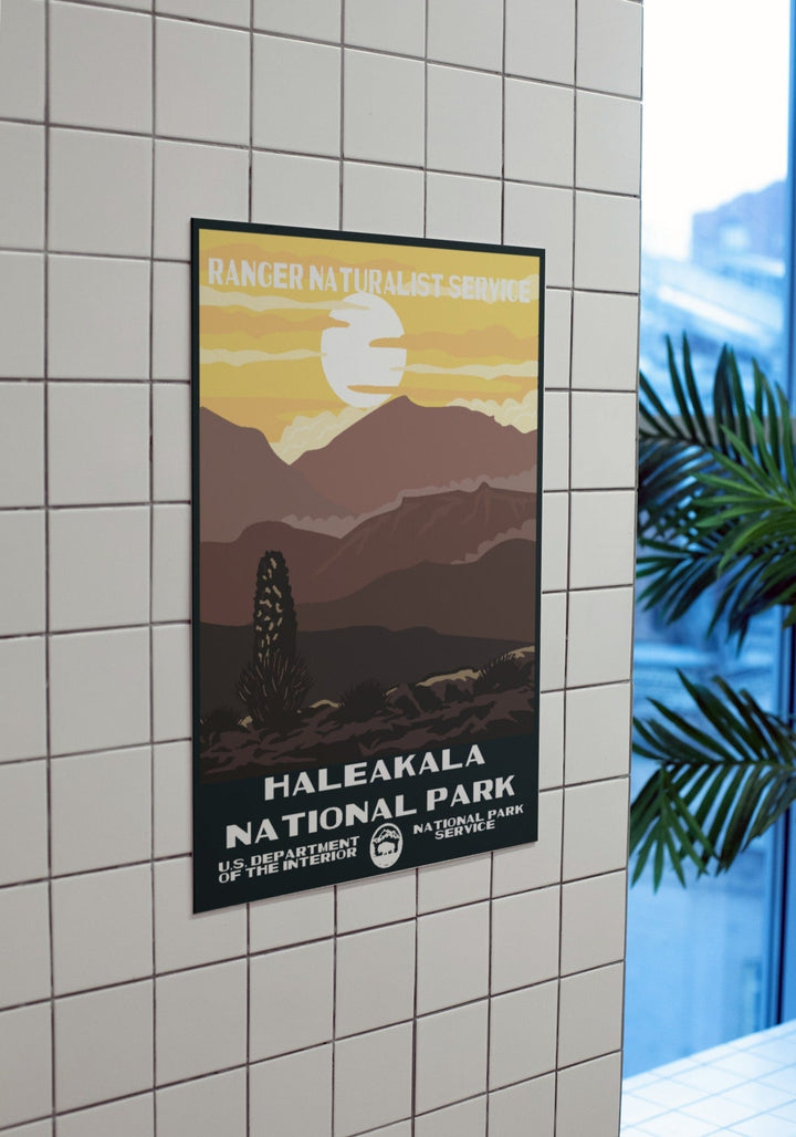 Haleakala National Park Poster - poster