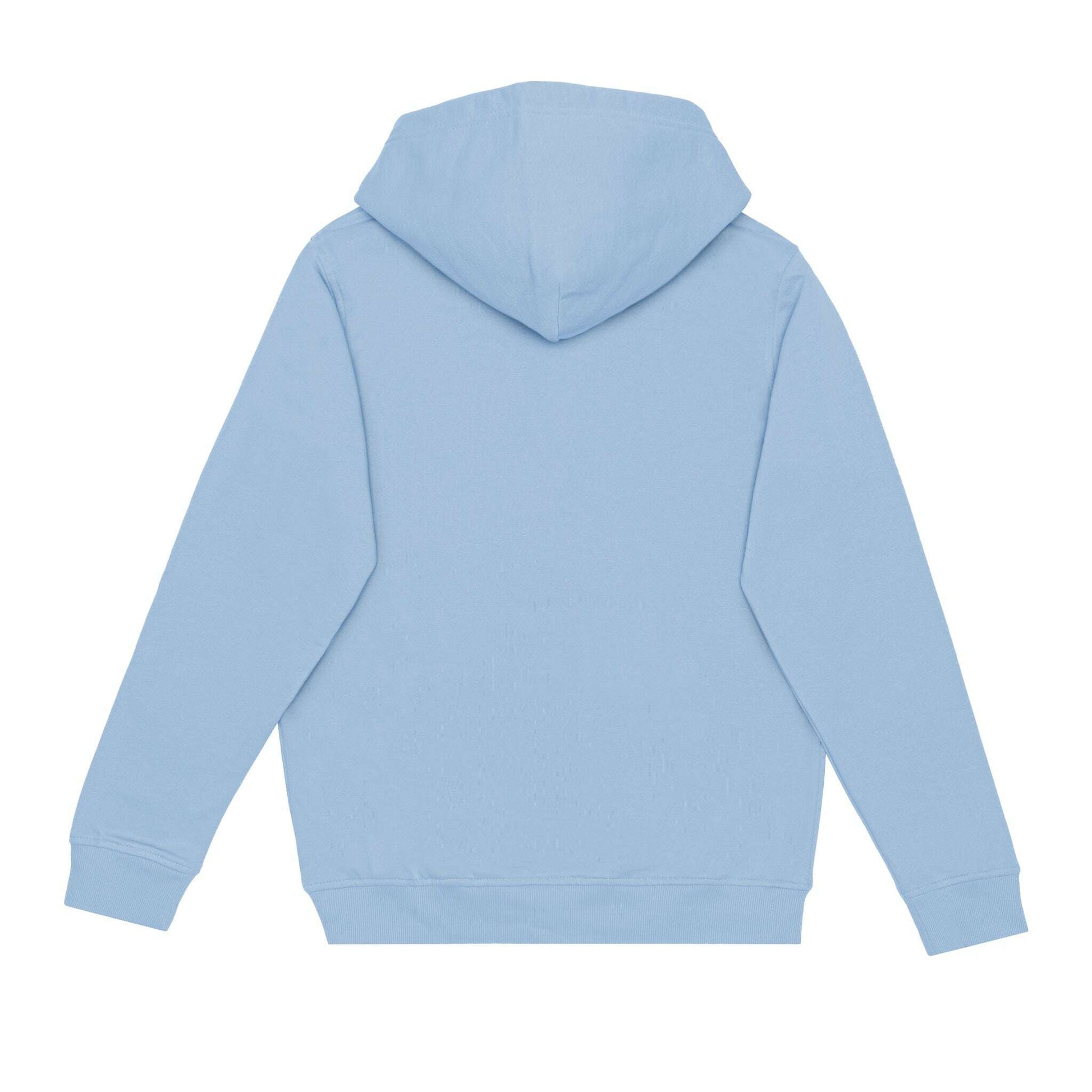 Hoodie-HERO-2020 Unisex Blank Hoodie - Sky Blue-torontoscreenprinting.ca