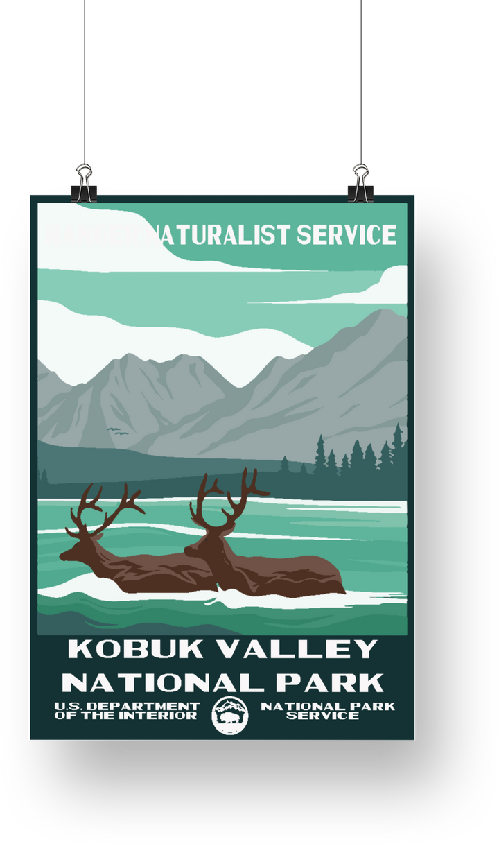 Kobuk Valley National Park Poster - poster