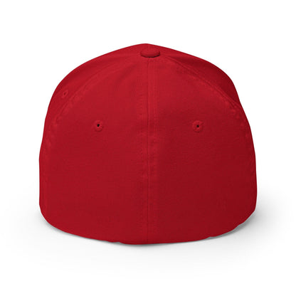 Make Dogs Safe Again Embroidered Stretch Fit Baseball Hat
