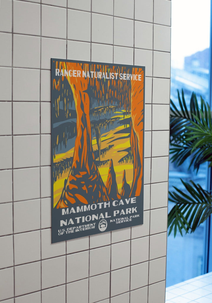 Mammoth Cave National Park Poster - poster