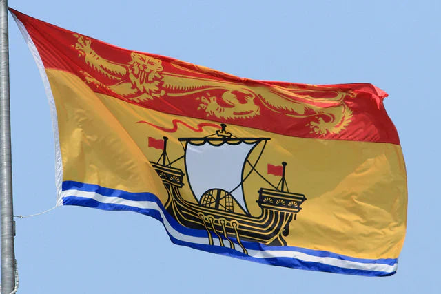 New Brunswick Flag – Various Sizes 🇨🇦 - 9x18in