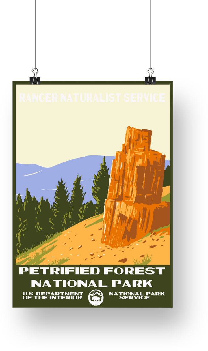 Petrified Forest National Park Poster - poster