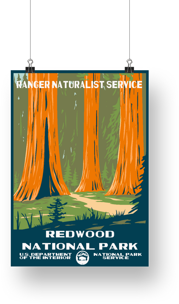 Redwood National Park Poster - poster