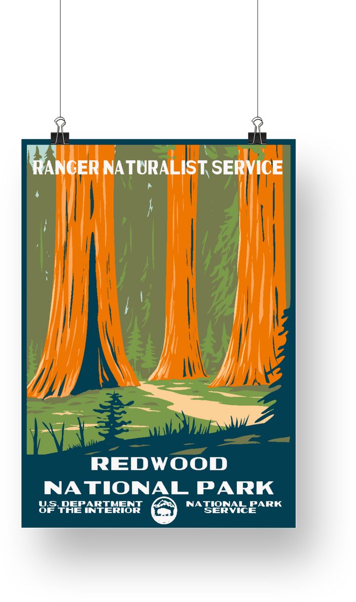 Redwood National Park Poster - poster