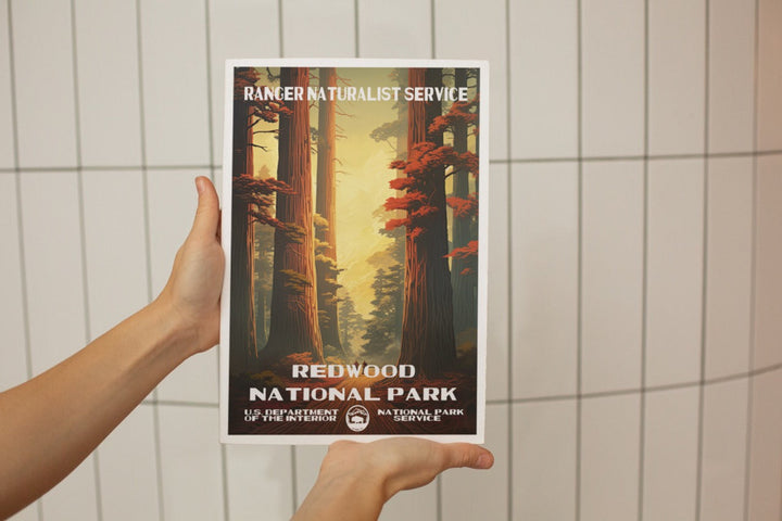 Redwood National Park Poster - poster