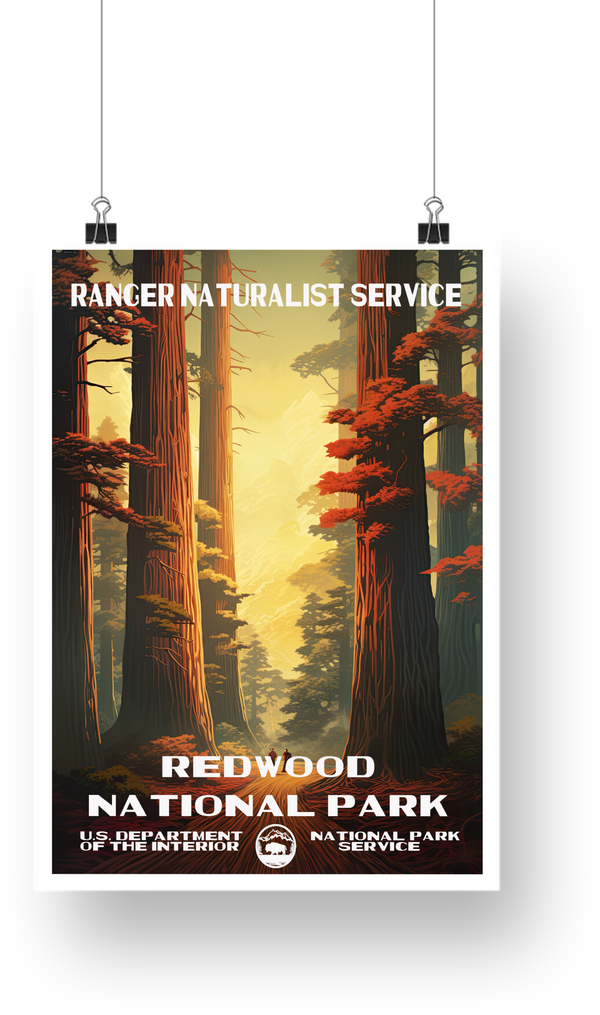 Redwood National Park Poster - poster