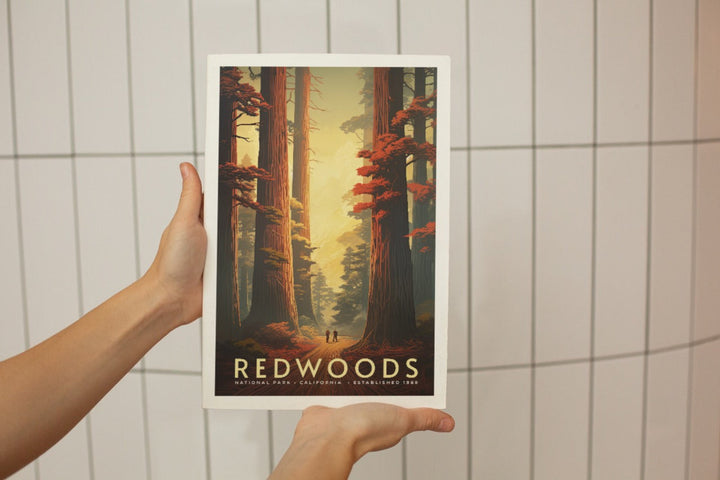 Redwood National Park Poster - poster