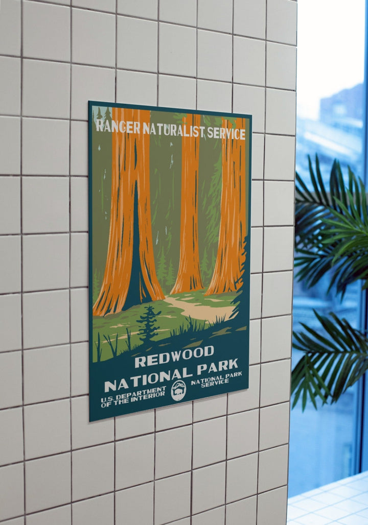 Redwood National Park Poster - poster