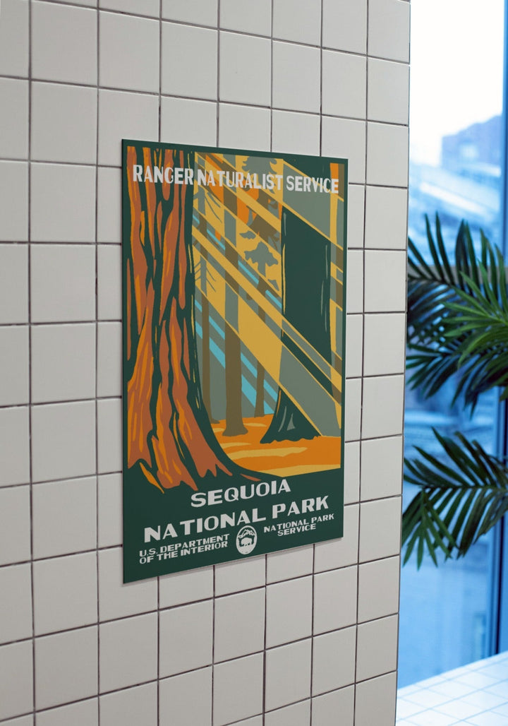 Sequoia National Park Poster - poster