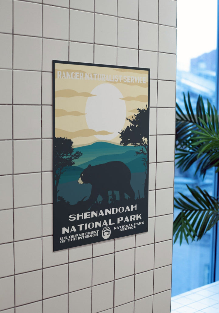 Shenandoah National Park Poster - poster