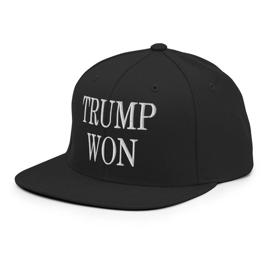 Trump Won 2020 2024 Flat Bill Brim Snapback Hat