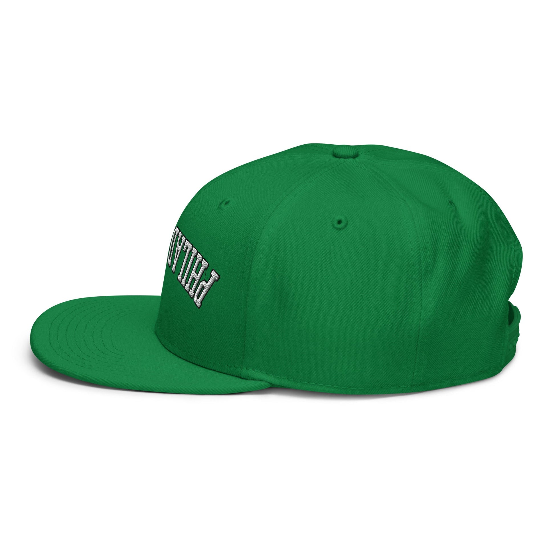 Upside Down Philadelphia Football Embroidered Flat Bill Brim Snapback Hat
