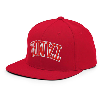 Upside Down Tampa Football Embroidered Flat Bill Brim Snapback Hat