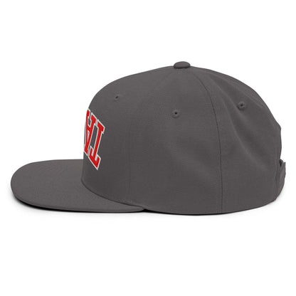 Upside Down Tampa Football Embroidered Flat Bill Brim Snapback Hat
