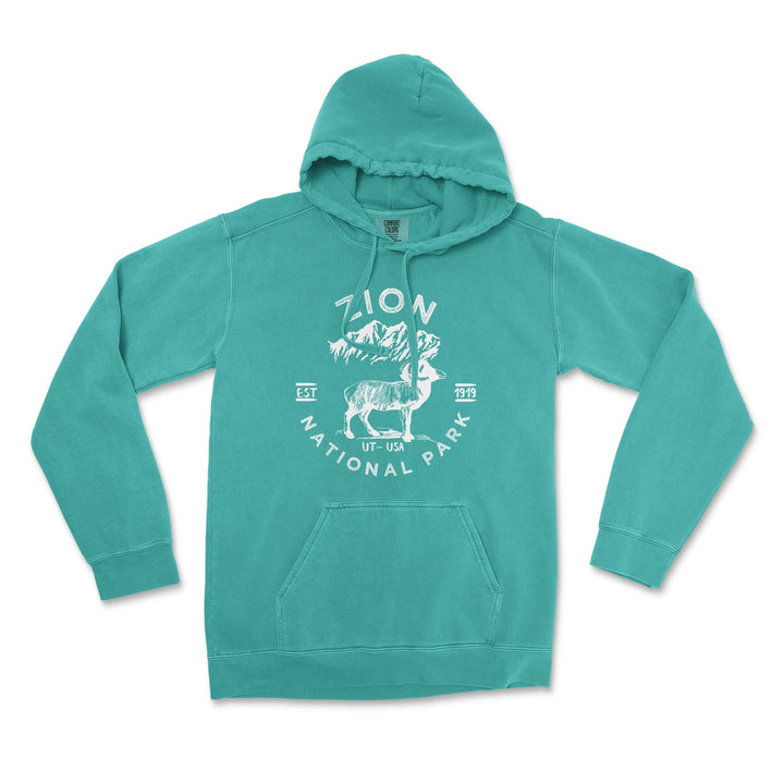 Zion National Park Comfort Colors Hoodie - S / Seafoam - hoodie