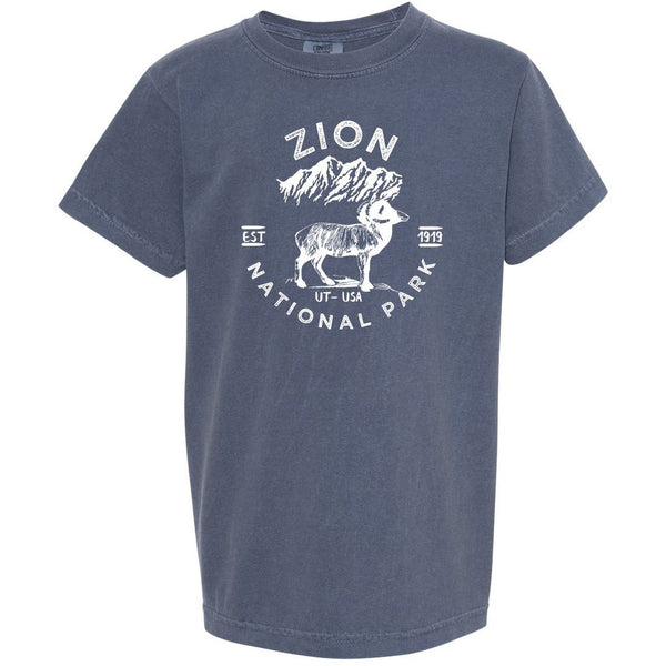 Zion National Park Youth Comfort Colors T shirt - Denim / S - Youth