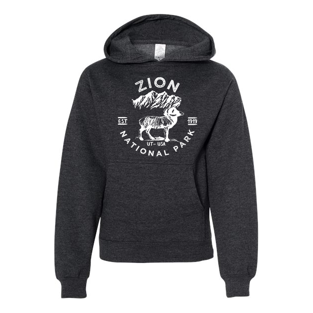 Zion National Park Youth Hoodie Sweatshirt - S / Charcoal Heather - hoodie