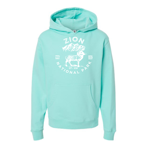 Zion National Park Youth Hoodie Sweatshirt - S / Mint - hoodie