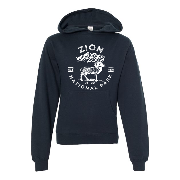 Zion National Park Youth Hoodie Sweatshirt - S / Navy - hoodie